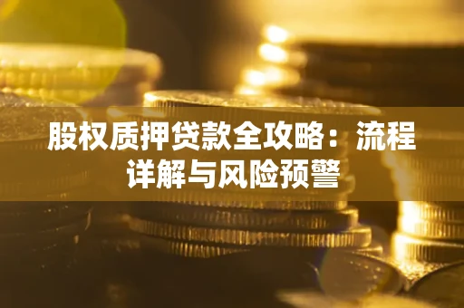 武汉股权质押贷款全攻略：流程详解与风险预警