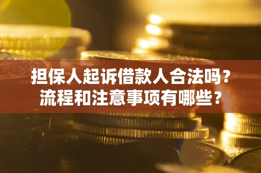 武汉担保人起诉借款人合法吗？流程和注意事项有哪些？