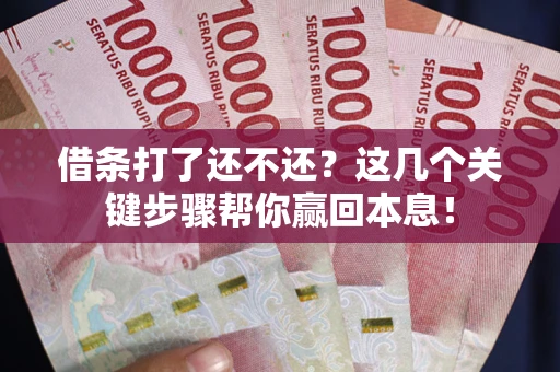 武汉借条打了还不还？这几个关键步骤帮你赢回本息！