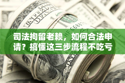 武汉司法拘留老赖，如何合法申请？搞懂这三步流程不吃亏！
