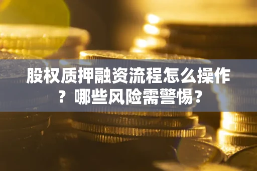 武汉股权质押融资流程怎么操作？哪些风险需警惕？