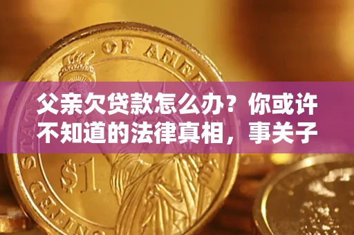 武汉父亲欠贷款怎么办？你或许不知道的法律真相，事关子女未来