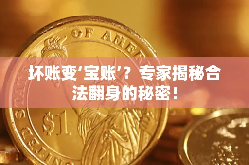 武汉坏账变‘宝账’？专家揭秘合法翻身的秘密！