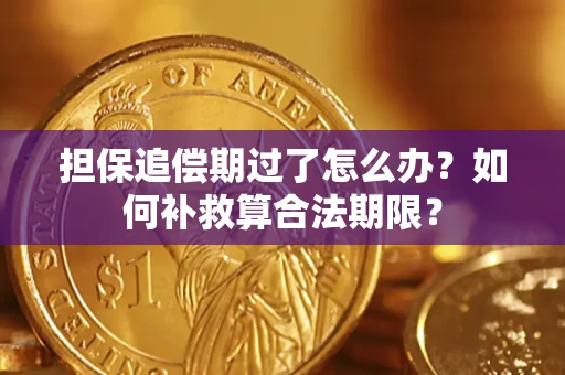 武汉担保追偿期过了怎么办？如何补救算合法期限？
