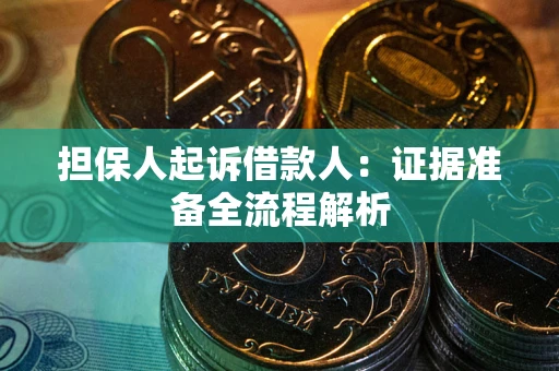 武汉担保人起诉借款人：证据准备全流程解析