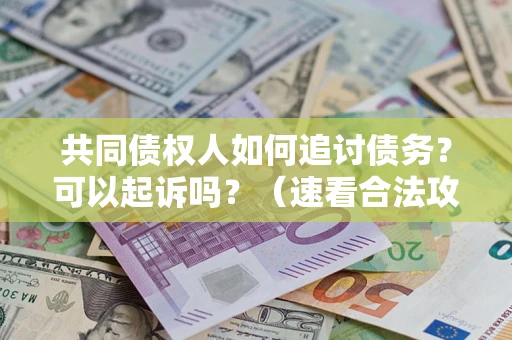 武汉共同债权人如何追讨债务？可以起诉吗？（速看合法攻略）