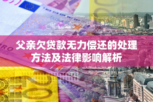 武汉父亲欠贷款无力偿还的处理方法及法律影响解析