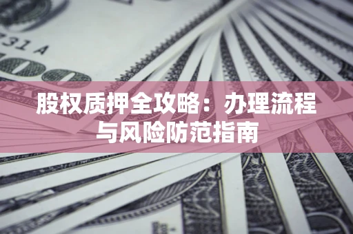 武汉股权质押全攻略：办理流程与风险防范指南