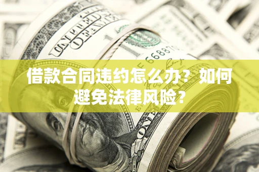 武汉借款合同违约怎么办？如何避免法律风险？