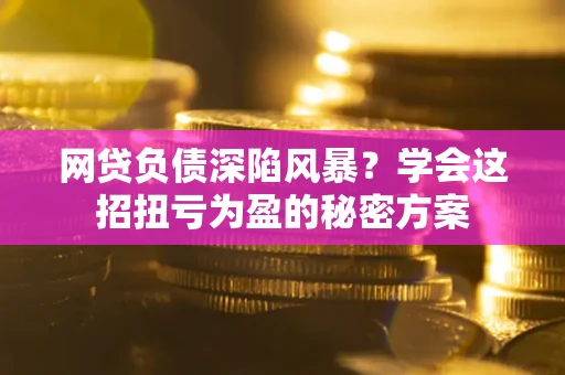 武汉网贷负债深陷风暴？学会这招扭亏为盈的秘密方案